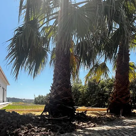 Da Fonte - 1 Bed & Breakfast